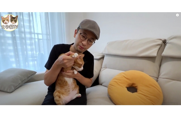 【士多貓TV】【移民台灣生活】開箱淡水千萬小宅，兩房兩衛兩陽台稀有格局，在台灣擁有的第一個家（含少量合作）｜貓奴與寵物移民紀錄 #領養不棄養