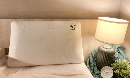 科技釋壓舒眠枕