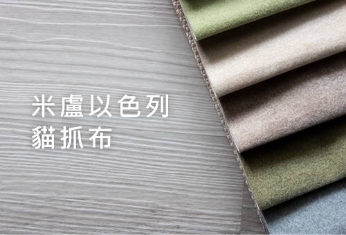 米盧以色列貓抓布